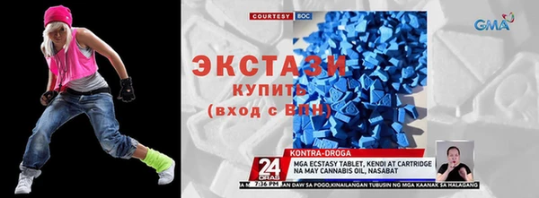 гашик Алексин