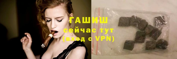гашик Алексин