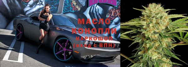 гашик Алексин