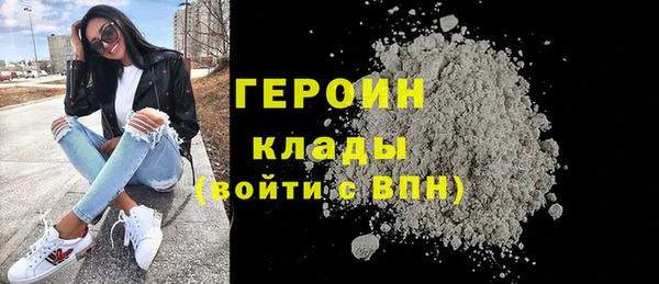 гашик Алексин