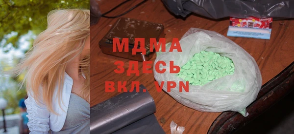 гашик Алексин